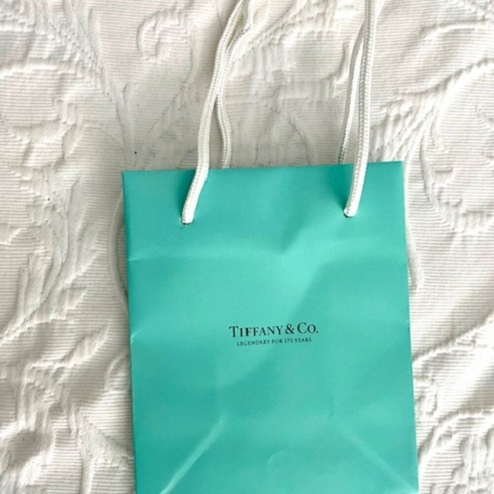 Tiffany & Co. Empty Jewelry Bag